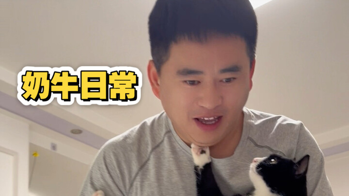 Tentang keseharian suamiku yang entah mengapa selalu memancing perhatian kucing dan anjing — sebuah 
