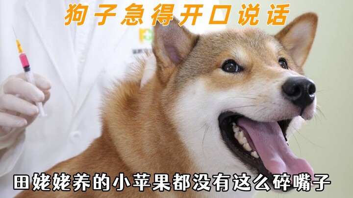 الكلب كان منشدًا لدرجة أنه كاد يتكلم لغة البشر، كارهًا صاحبه الذي لا يعرف حدودًا.