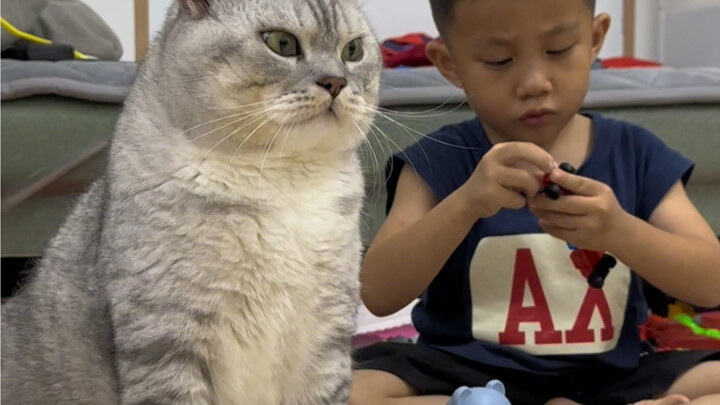 My little brother's bodyguard