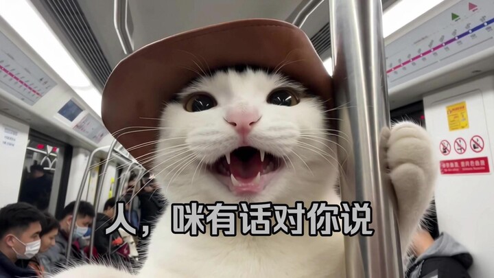 Kenapa Kucing dan Meme Kucing Pisang? Perjalanan ke Hainan serta vlog “petualangan” di pulau ini (Ha