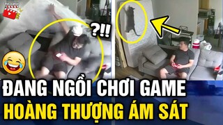 Tin 3 Phút Hài | Tổng hợp tình huống 'HÀI ĐỘNG VẬT' không cười không lấy tiền P48