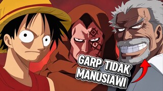 Dragon Dan Luffy Lebih Manusiawi Dari Garp !!!