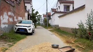 Hanya jalan-jalan di sekitar kota kelahiranku saja sudah merupakan sebuah hal yang luar biasa