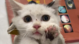 绑架代替购买之小日子过的不错的名字