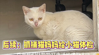 后续来了朋友们！我哭了！