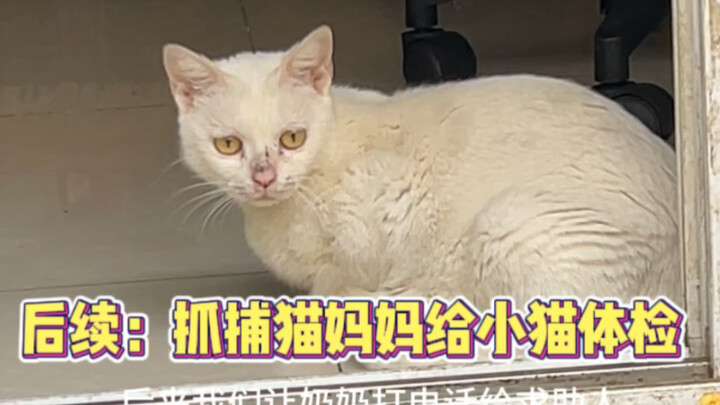 The follow-up is here, everyone! I'm crying!