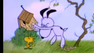 Bao membelikan sarang burung untuk pelanggan yang kebingungan