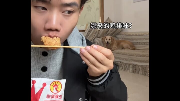 Dog: Do you think our sniffing noses are just for show?