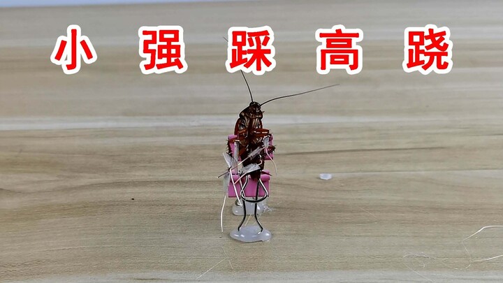 Xiao Qiang on stilts! The tall, handsome guy of the cockroach world!