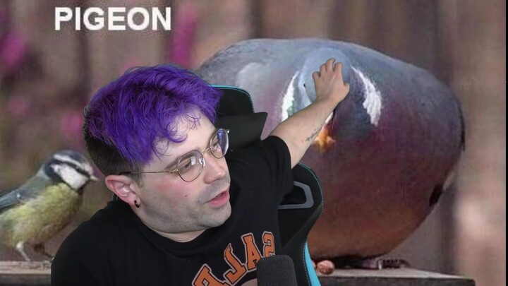 (VOD DamienHaas 26/07/23) Pikmin 4! - #1