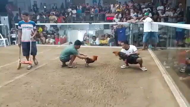 Doyti game farm champion 💪❤🏆