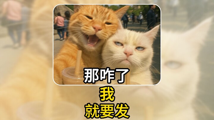 Sharing video updates with friends [Three Kingdoms: Plan the World]