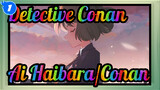 [Detective Conan] (Ai Haibara X Conan) My Wish Is That You Can Be Happy (Angst)_1