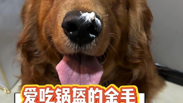 หมา: ทุกครั้งที่ฟังผู้หญิงคนนี้พูดมนต์จบหนึ่งบท ก็จะแปลงเป็นกัวคุยให้ฉันหนึ่งอัน!