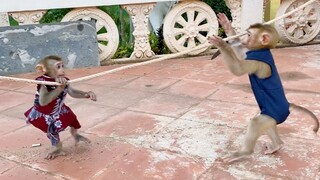 Very Cute Both Babies Maya & Zono Happy Playing