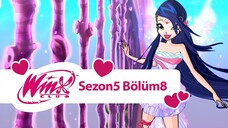 Winx Club - Sezon 5 Bölüm 8 - Yakut Kayalığın Sırrı