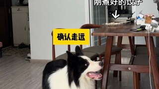 Only dog owners can understand the mind