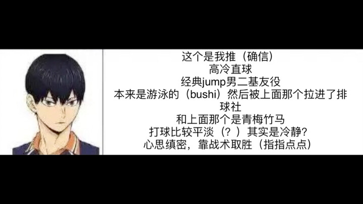 喜欢看无cp热血番的朋友对小排球众人的第一印象，甚至连推都选好了——影山飞鱼