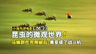 马蜂群吃完辣椒后竟变成了战斗机