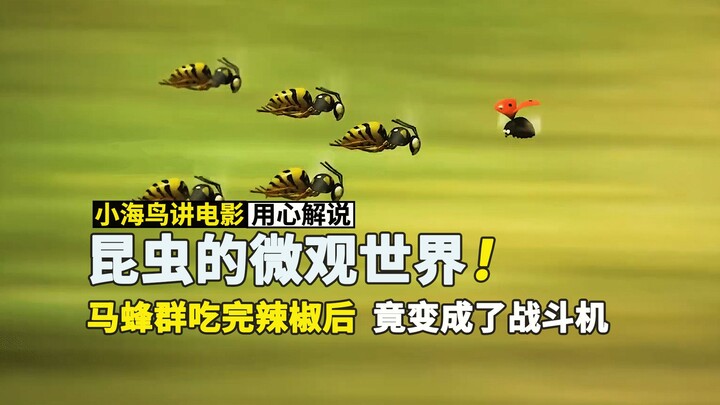 马蜂群吃完辣椒后竟变成了战斗机