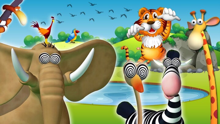 Gazoon | Labirin Hutan (Forest Maze) | Kartun Lucu Untuk Anak Anak | ToBo Kids TV Bahasa