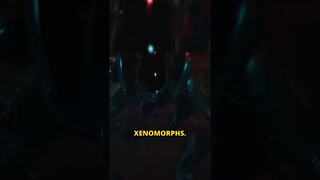 New Alien VR Horror Quest 3 Game Will Leave You Shaking!