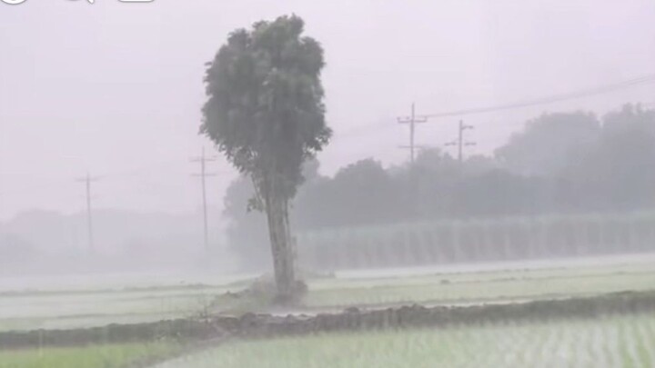 The rain..