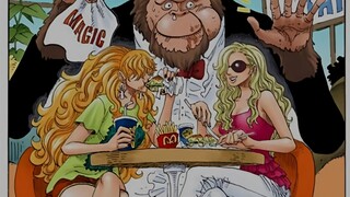 非草帽团成员的彩页盘点