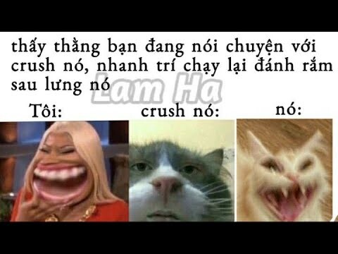 Ảnh chế meme thiếu muối cực mạnh#29 || SGM AC