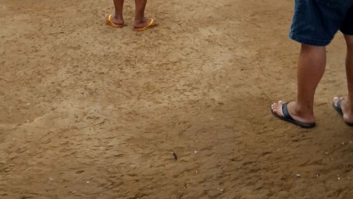 1 fight🥰🥰