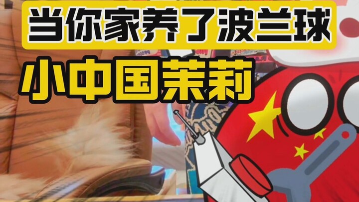 【Polandball】When your family raises Polandball-Little Chinese Jasmine