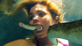 Cá Mút Đá Xuất Hiện và Tấn Công Cả Thị Trấn | Tóm Tắt Phim Cuộc Tấn Công Của Cá Mút Đá | AHA MOVIE