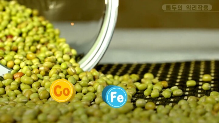 Efeitos farmacológicos de Phaseolus radiatus