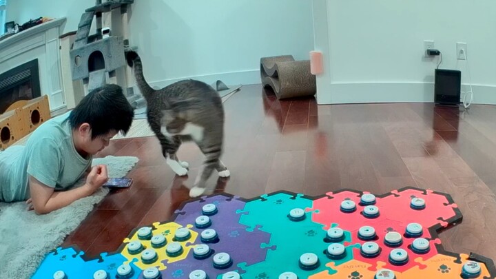 Ayah Fufu memperoleh cinta yang murni