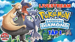Bố Đời #5: Đón Chào Tân Champion Của Vùng Đất Sinnoh ?!? | Pokemon Brilliant Diamond | PAG Center