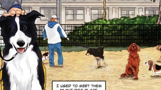 What happens to pets when humans become zombies that kill each other?