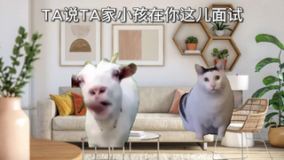 [猫meme]新手大学老师第一次招博士生最后一期! - 人情社会？