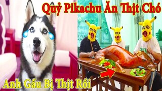 Thú Cưng TV | Ngáo Ngu Ngốc Và Đầu Gấu #3 | chó thông minh vui nhộn | Pets funny cute smart dog