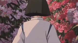 haku ang chihiro