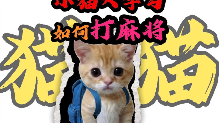 แมวน้อยเรียนรู้: วิธีเล่นไพ่มาจาง