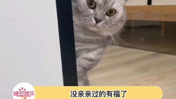 Rốt cuộc là người ở hành tinh nào mới nghĩ ra góc quay kiểu này để làm video vậy, tôi hỏi thật đấy?