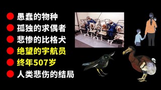 【View with Caution】Those Sad Facts