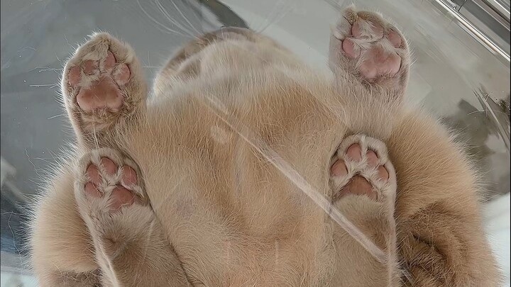 ขอโทษ ฉันผิดเอง