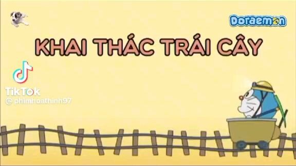 khai thác trái cây