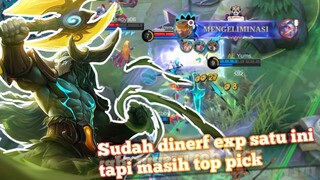 Sudah dinerf exp satu ini!? namun masih top pick!? tebel, inisiasi juga bisa - Mobile Legends