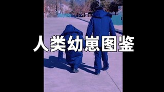 人类幼崽图鉴