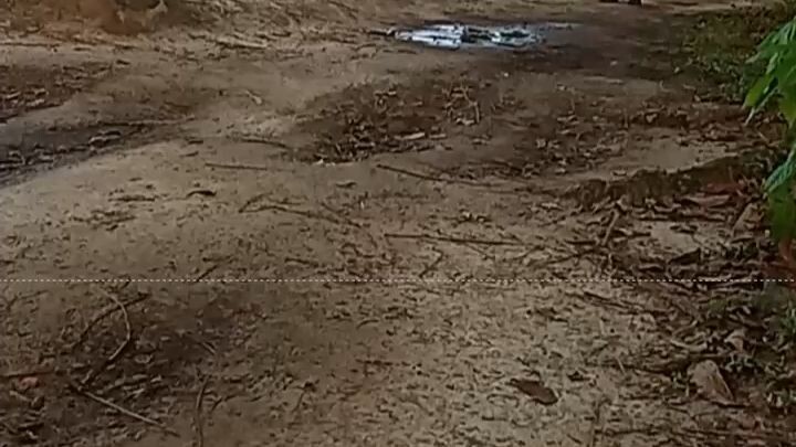 প্রকৃতি র অপরুপ আমাদের বাংলাদেশ,,