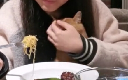 Cat: I can’t seem to catch my breath.