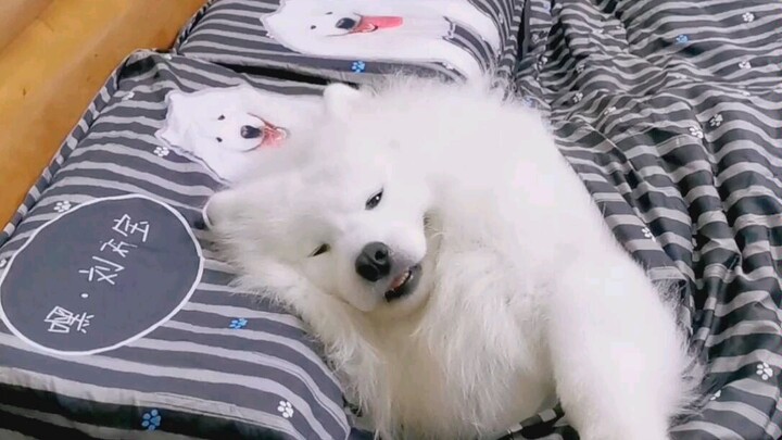 Before I knew it, you've been with me for five years.