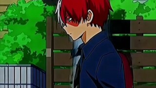 todoroki shoto